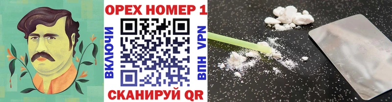закладки Курильск Кокаин Эквадор